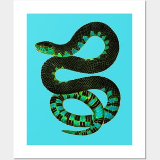 serpent cobra reptile viper venom lizard Posters and Art